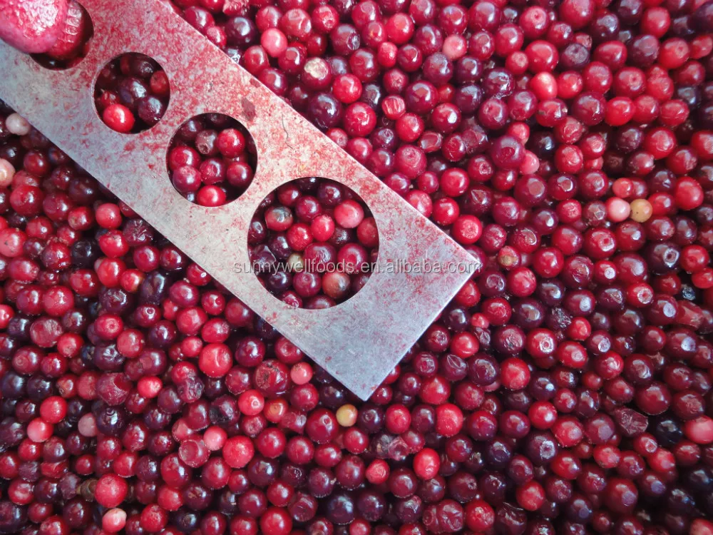 Горячие продаем Замороженные оптом красных ягод, замороженные Брусника 2016 нового урожая