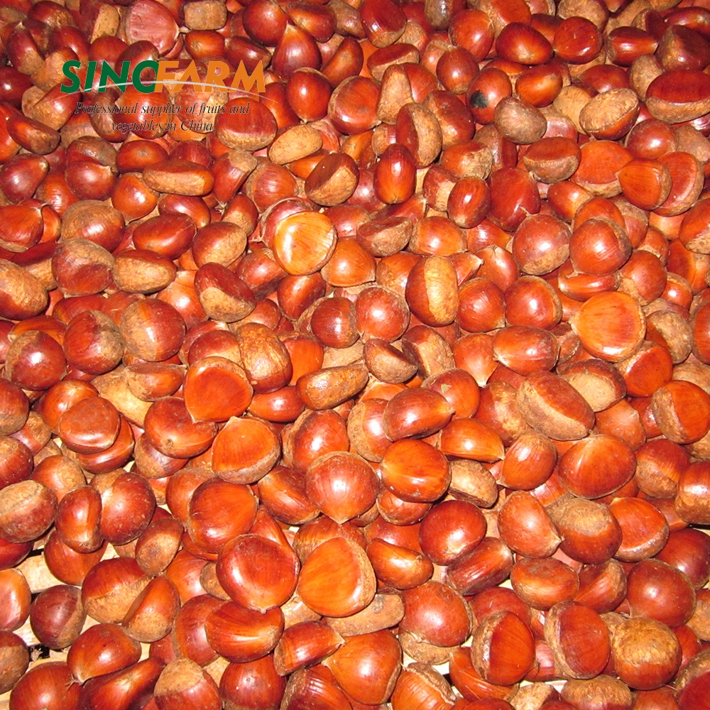 Wholesale fresh chestnut price per kg