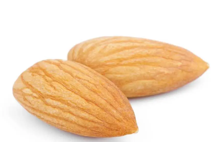 Edible raw natural kernels meat Dried Prunus armeniaca seeds for food