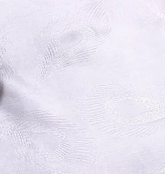 100% Tencel 60x60 173x120 dobby tencel fabric