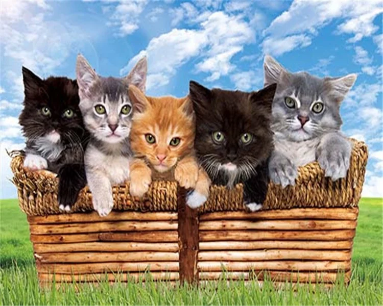 
Dinosaur hologram picture 3D picture of anmals for promotion 