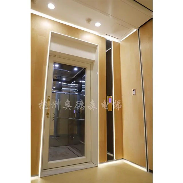 2-5 Person Home Elevator Used Residential Elevators For Sale
