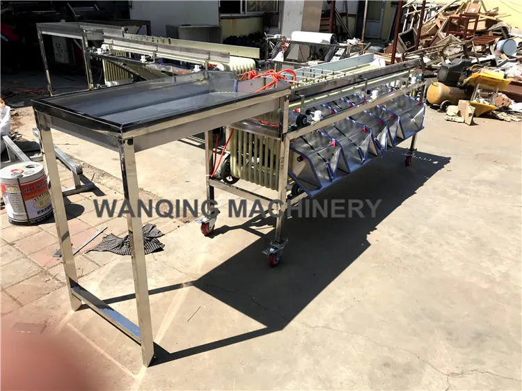 5 Grades sorting machine equipment used for dates,plums,oranges and similar fruit  processing