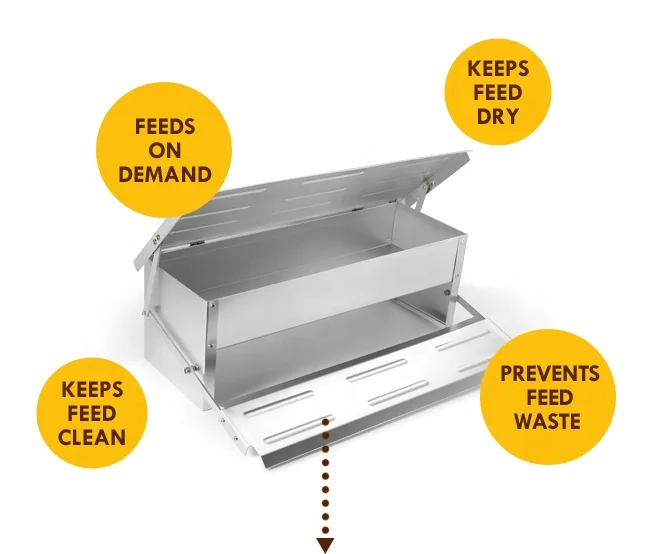 
Customized Chicken Drinkers And Feeders 