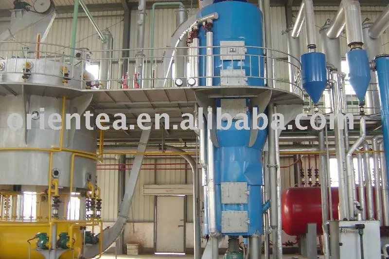 organic refined camellia oil edible cooking oil