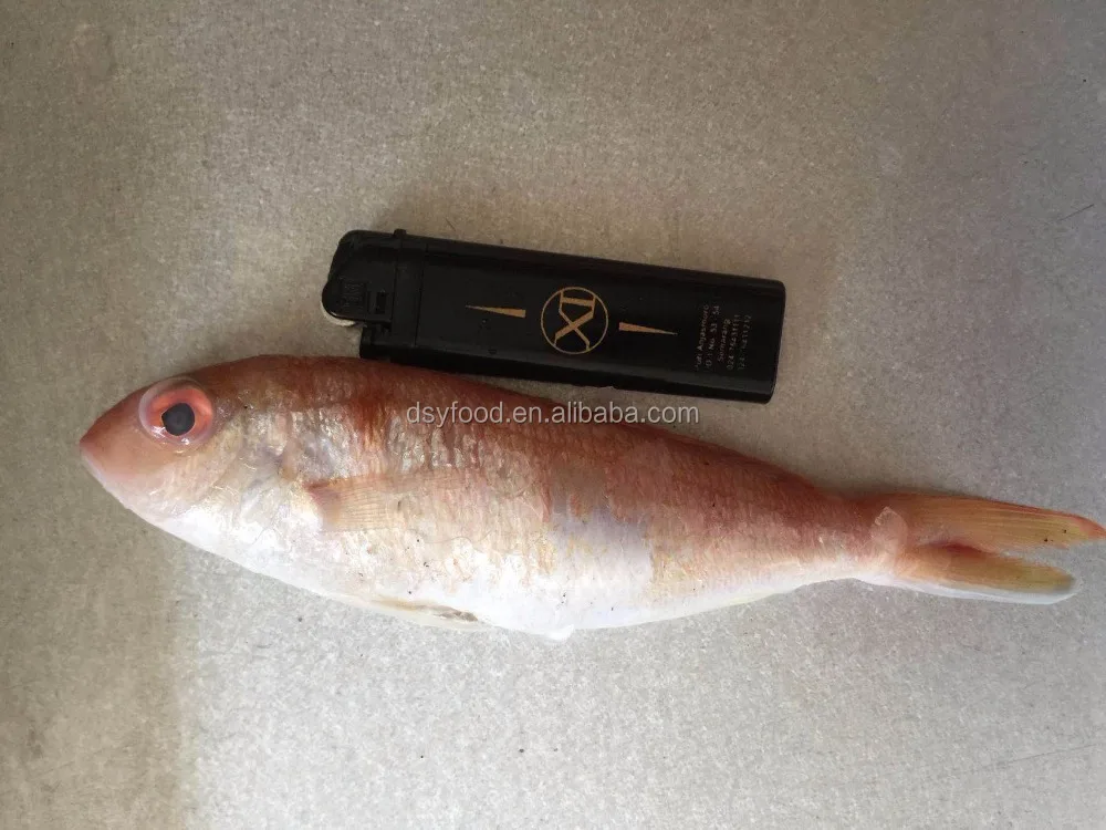 Frozen threadfin bream best price for sale