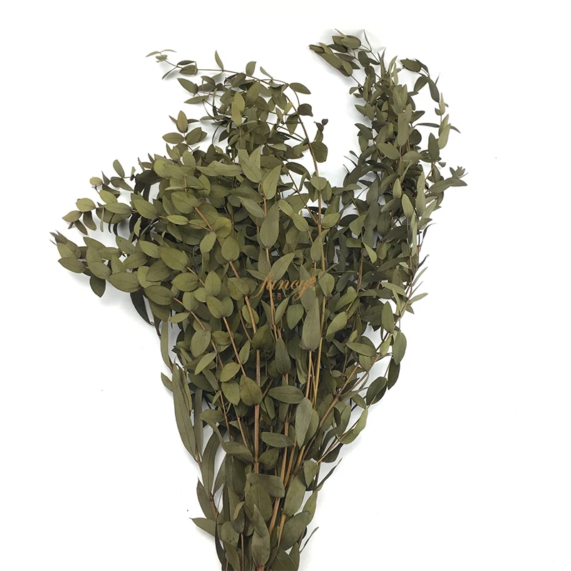 Last 3 Years Natural Flower Leaves Arrangement Dried Preserved Eucalyptus