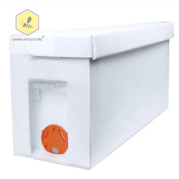 Оборудование для пчеловодства из Китая corflute beehive 100% полипропиленовый пластиковый hive nuc box