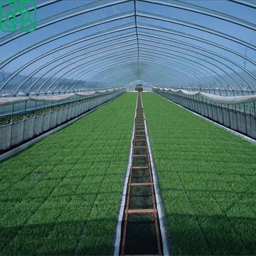 Agricultural Equipment Steel Frame Serre Tunnel Greenhouse