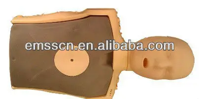 
EMSS CPR Training Manikin 
