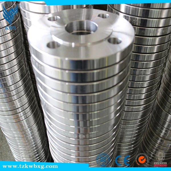 EN10272 316L Stainless steel sealing whorl flange