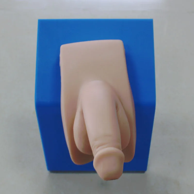 School High Quality Medical Science Chinon Wearable Advanced Male Nursing Training Urethral Catheterization Genital Model