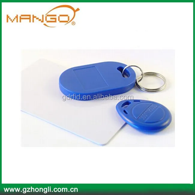 Заводская цена индивидуальные дверные ключи пассивная rfid-метка rfid-брелок манго