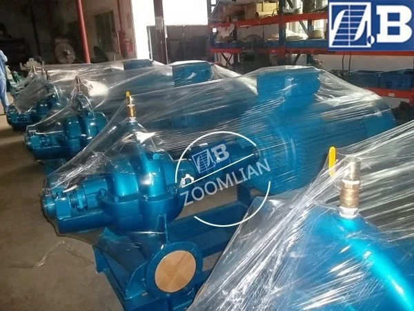 SAP power plant circulating water pump