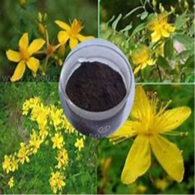 Hypericum Perforatum P.E.