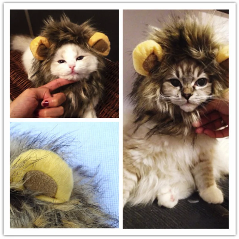 Wholesale Cat Lion Panda Mickey Mane Wig Cat Costume Hat Hair Cat Pet Puppy Cosplay Wig