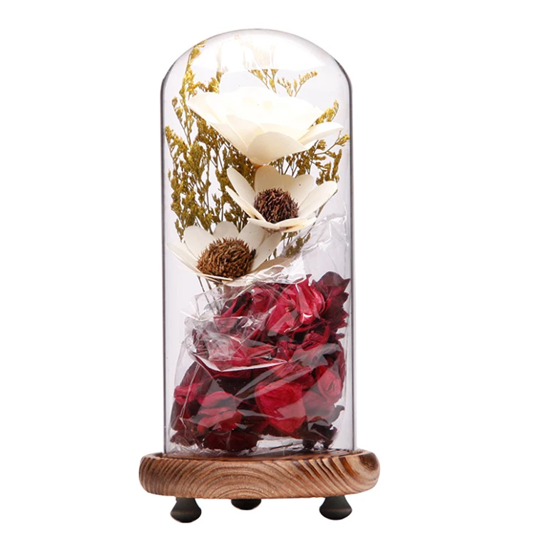 Decorative Glass Cloche Bell Jar Display Dome with Black Wooden Base