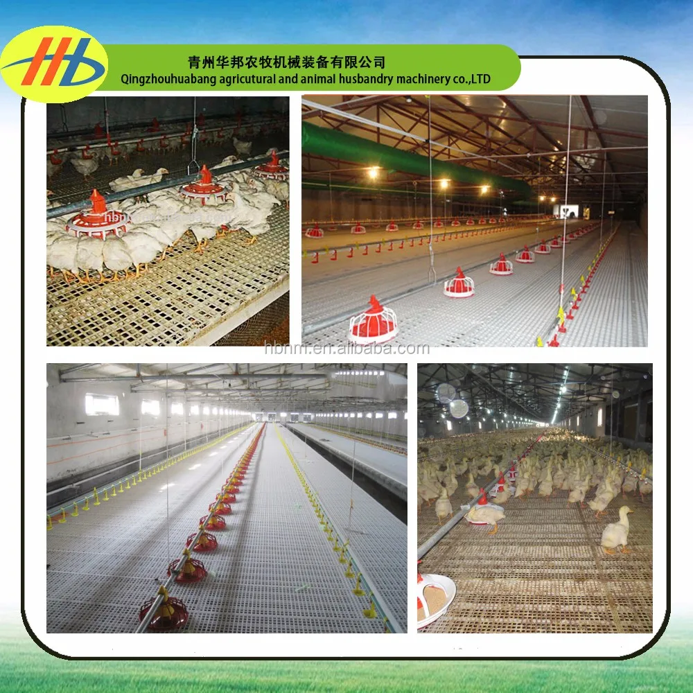 factory wholesale poultry livestock plastic slatted flooring system for chicken farm house