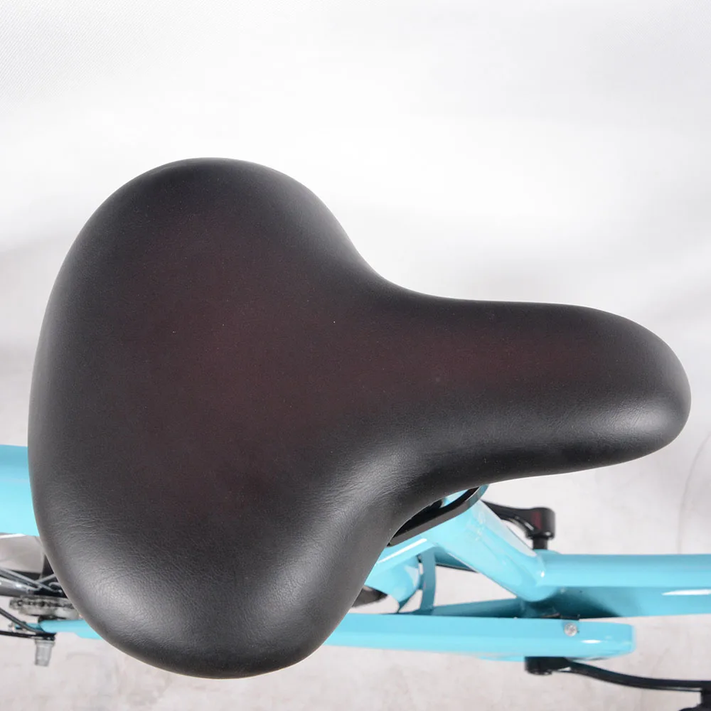 Tianjin Manufacture 24 inch aluminum alloy frame single speed airless tube bike share system