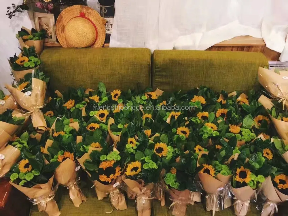 Beautiful fresh cut flower Helianthus annuus sunflower