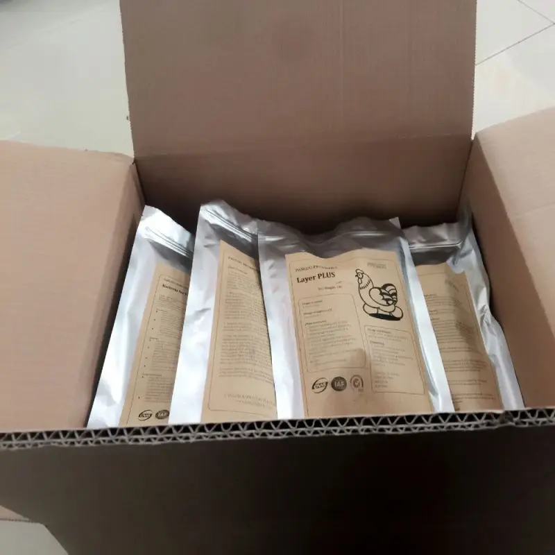 
Probiotic bacillus coagulans as feed addictive for animals and aquatic 