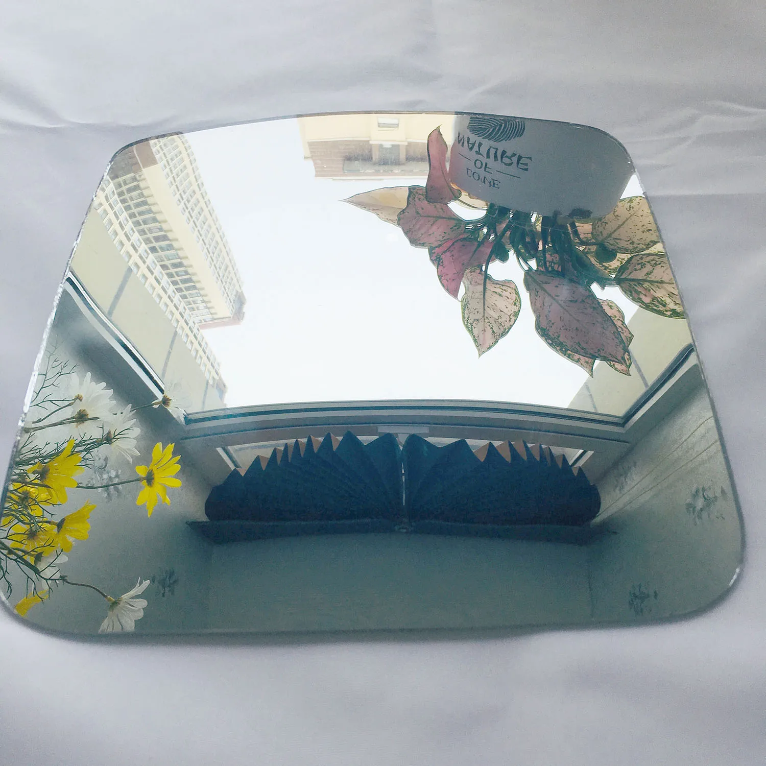 factory price large size truck side mirror in hot selling