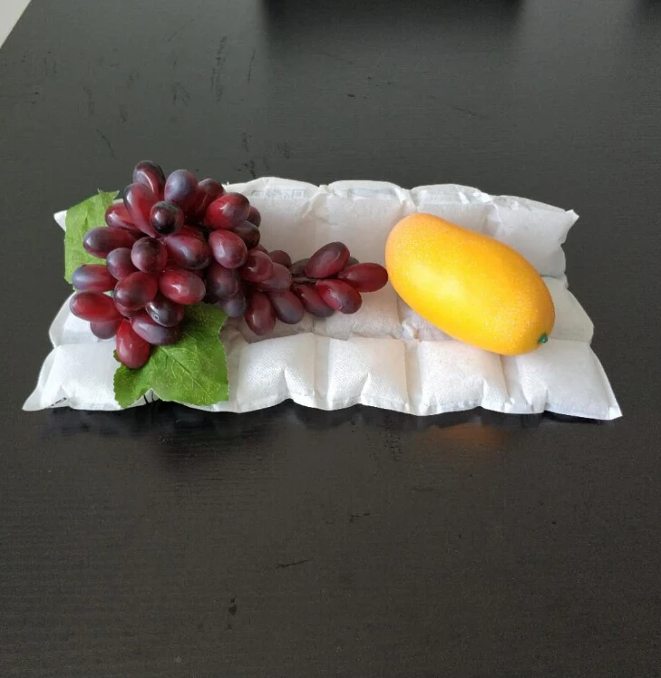 Food grade dry ice pack sheet techni ice packs for seafood chilled transport