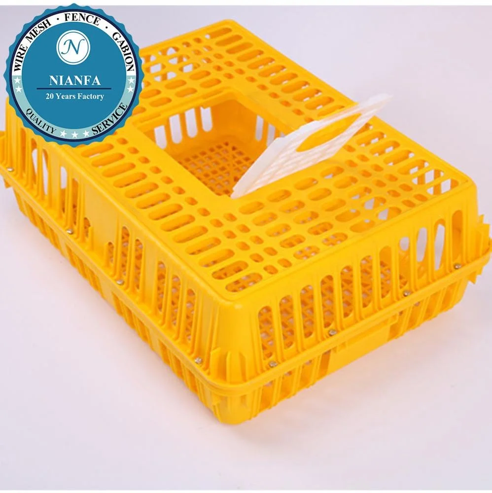 Poultry plastic chicken/duck/pigeon/dove transport cage /crate/case/box(Guangzhou Factory)