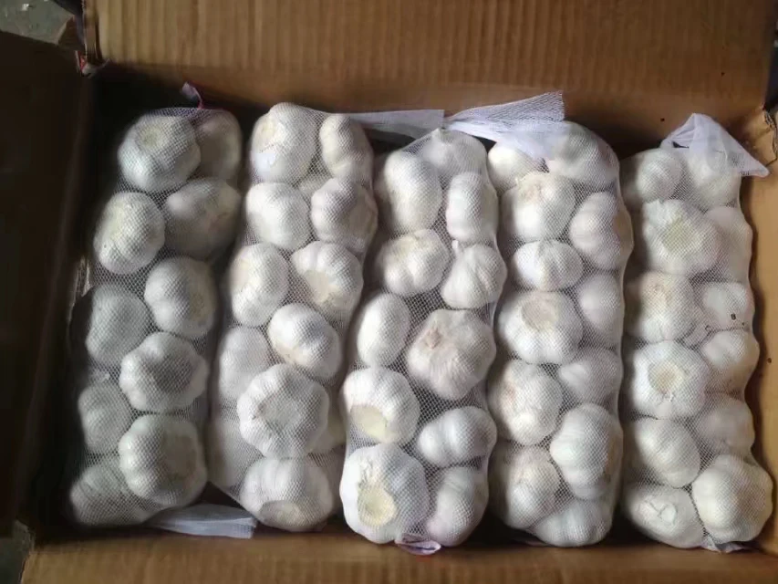 
dry garlic price in China garlic importers mesh bag garlic red 