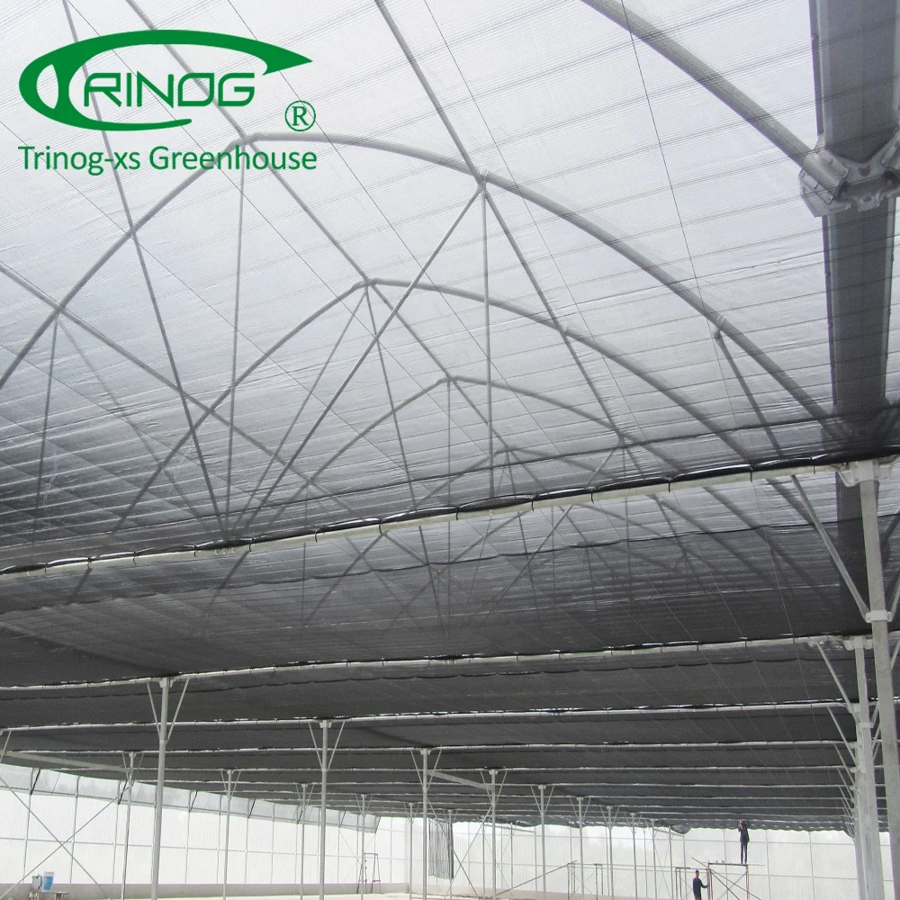 Trinog Greenhouse high tech trellis system Cantaloupe grow bag hydroponics system in plastic greenhouse