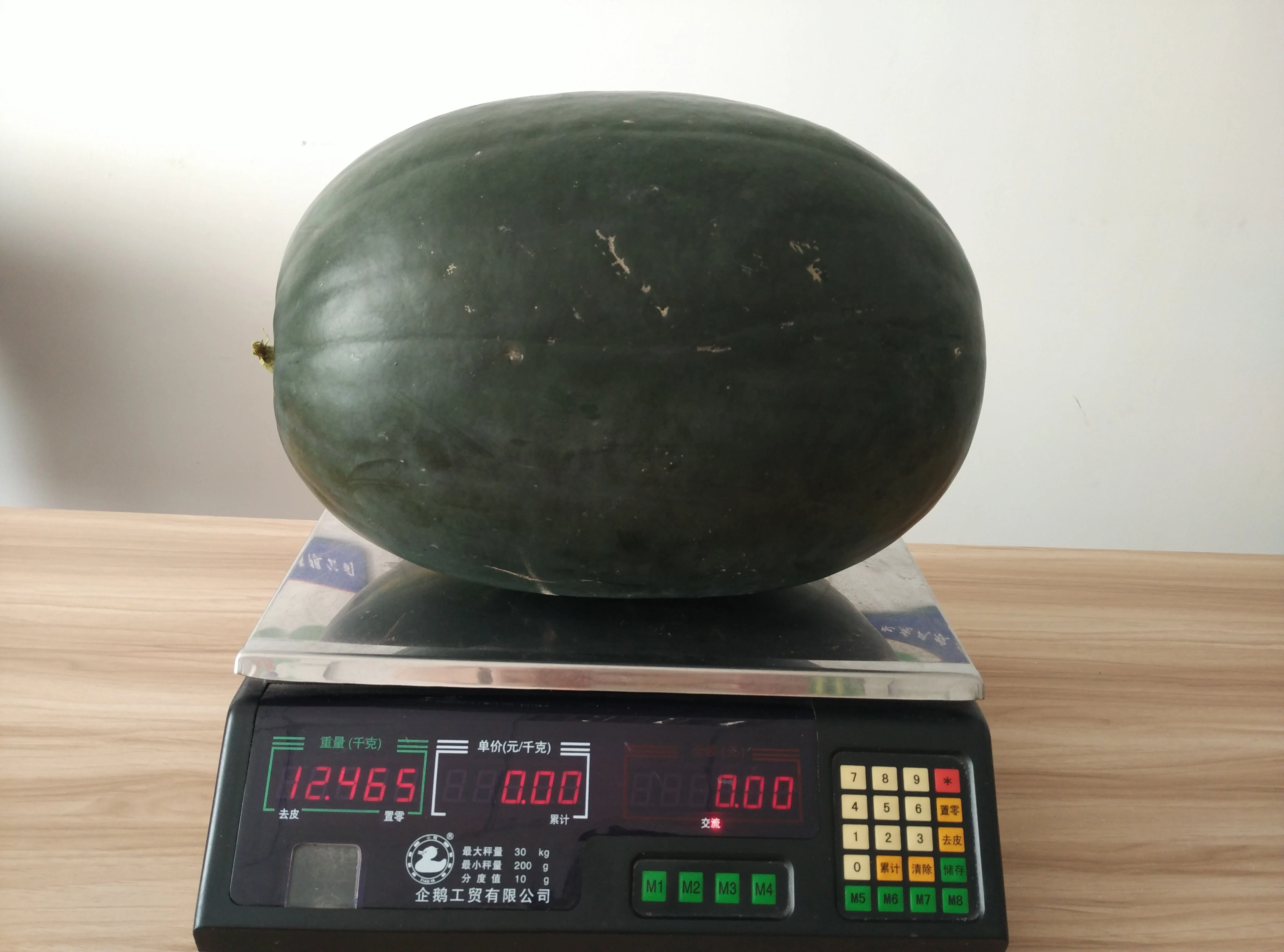 
Suntoday vegetable hybrid F1 hybrid lord black watermelon seeds sudan 1kg/bag 