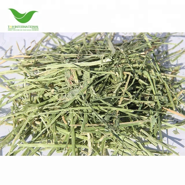 T&H Top Quality Alfalfa Hay Cubes Lucerne Hay Alfalfa Meal Bales for Sale Animal Feeding