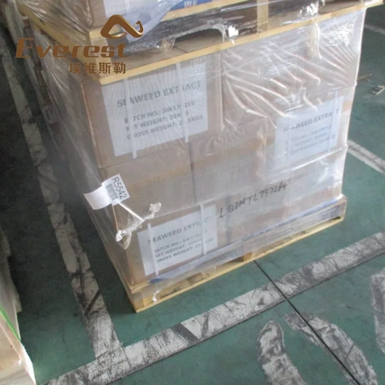 EVEREST Bio Active Ascophyllum nodosum Soluble Seaweed Extract Powder /Flake Organic Fertilizer Price