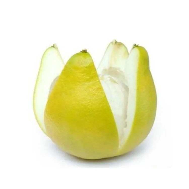 Factory Supply 100% Natural Citrus Maxima Extract 98% Naringin Pomelo Extract