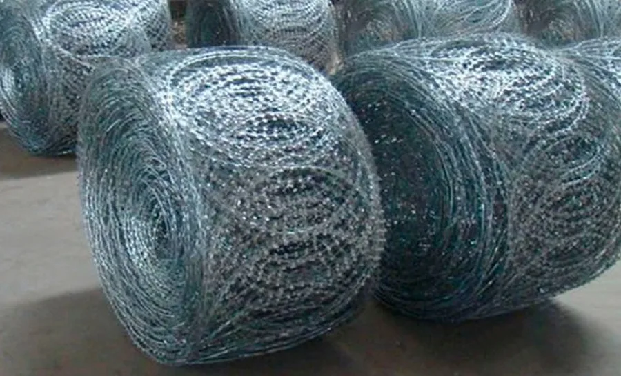 Егоза колючая проволока