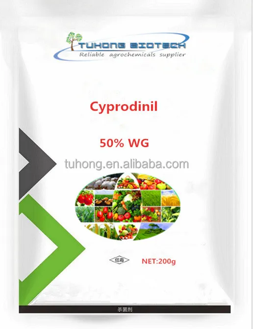 
Cyprodinil 50% WG Fungicide 95% TC Cyprodinil 50% wdg Insecticide 