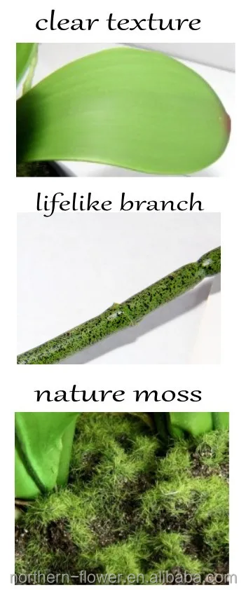 Cheap Wholesale latex nature touch Orchid Artificial Flowers With Glass Vase for wedding deco