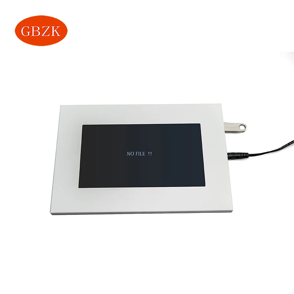 По индивидуальному заказу 10,1 дюймов ЖК-экран с штекером постоянного тока для подключения и USB многочисленных обращений наших покупателей дисплея рекламы/дисплей поз видео игры