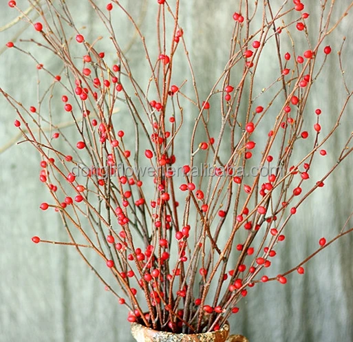 Природные красная фасоль и березы декоративные филиал для лобби общественном месте