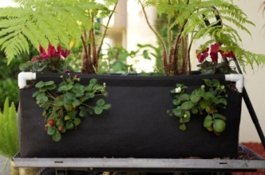 Flower planting  garden bed garden  raised bed garden bed outdoor