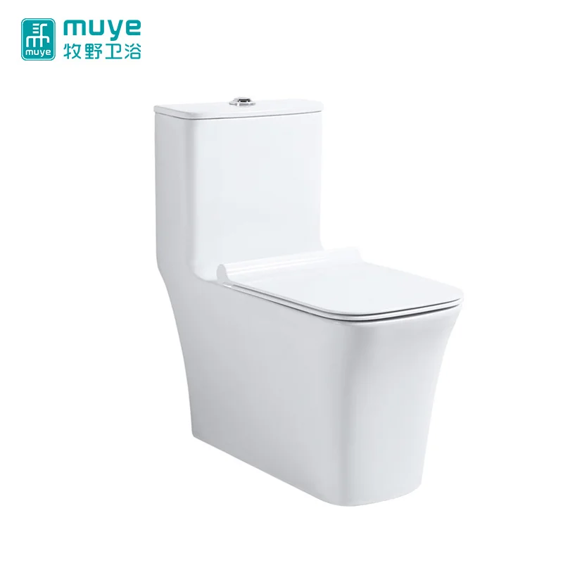 Fashionable Modern Floor Mounted Contemporary S Trap One-piece Toilet