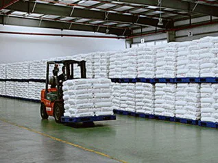 Sodium Hydroxide Caustic Soda Flakes 99%