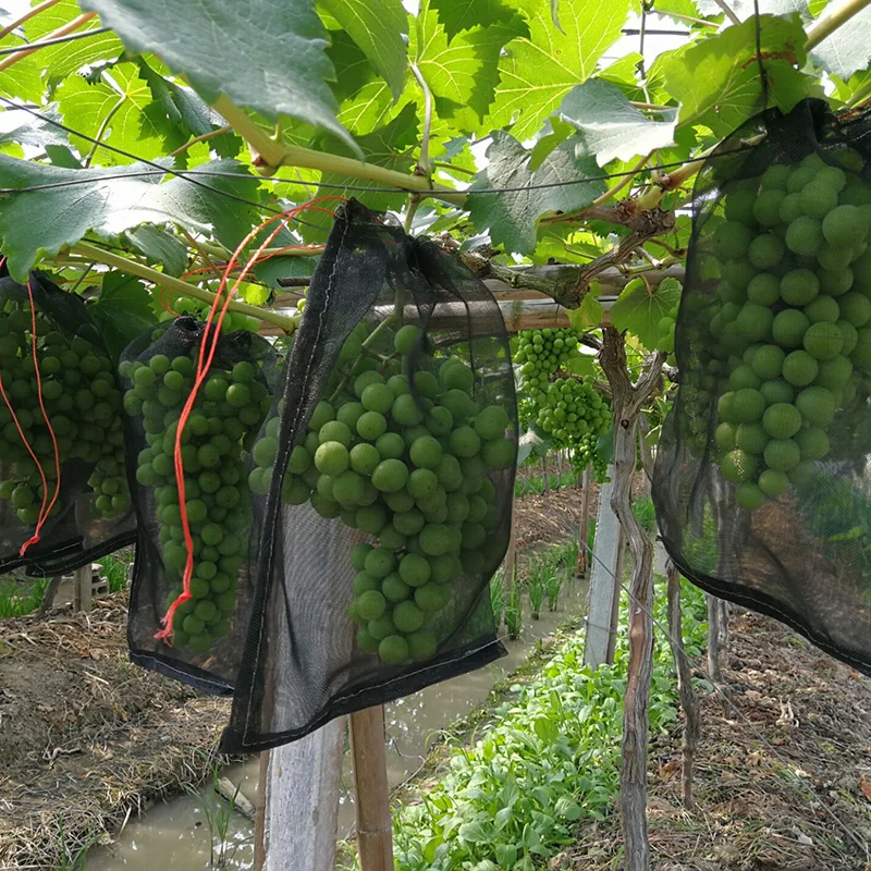 Agriculture fruit net protection bag grape anti insect mesh netting