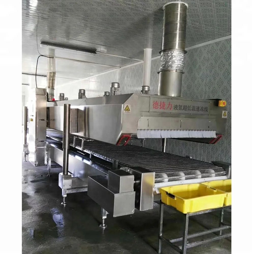 DJL, туннель для жидкого азота, быстрозамораживающее оборудование для овощей/зерен Таро