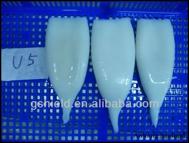IQF high quality size u5 u7 u10 frozen squid tube