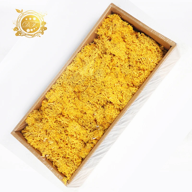 Yunnan A grade dried flowers wholesale preserved moss  for indoor decoration