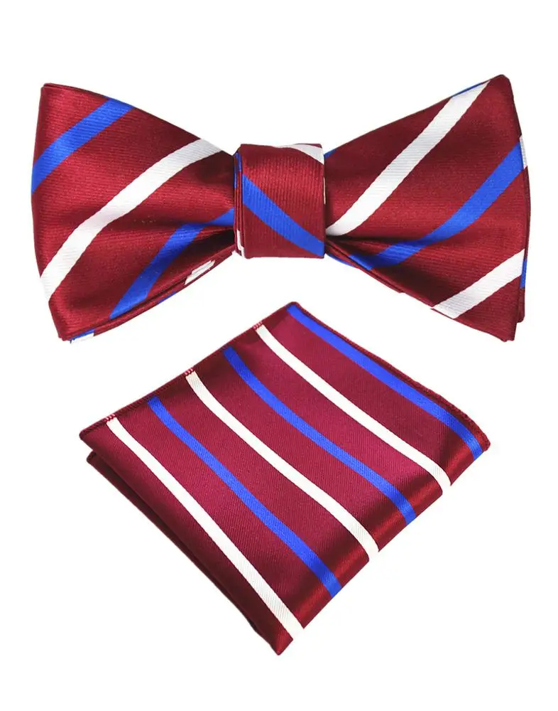 Индивидуальный модный галстук-бабочка, классический мужской галстук-бабочка, набор носовых платков