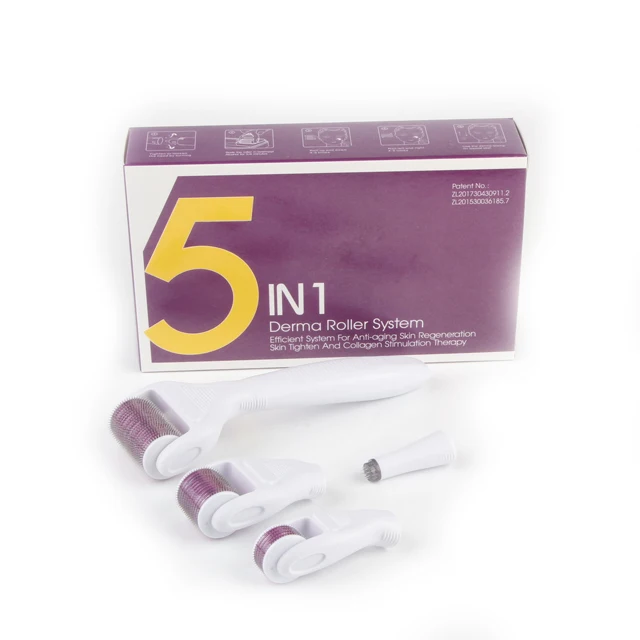 dermaroller Improves hyperpigmentation spots Leg stainless steel Arm 5 in 1 derma roller 2000