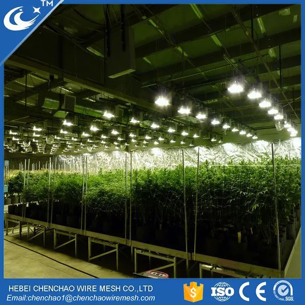 Movable Greenhouse Seeding Nursery Bed Growing Tables for Commercial plants Seedbed System