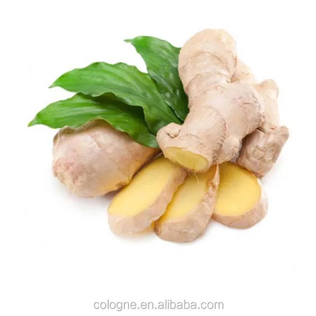 Supply fresh vegetable importers of ginger price of fresh ginger in egypt